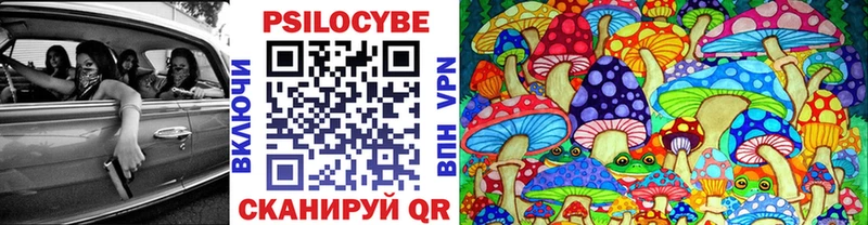 купить наркотик  Весьегонск  Псилоцибиновые грибы мухоморы 