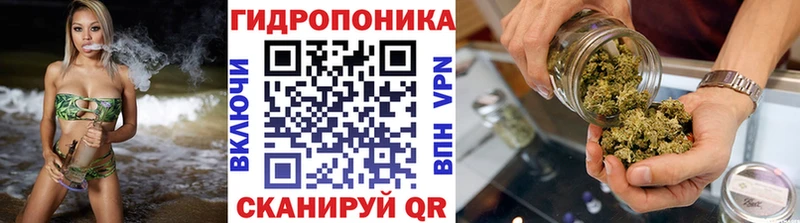 Бошки Шишки индика  Весьегонск 